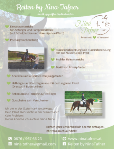 Flyer V3